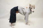 画像1: ヒッコリーデニムジャケット (1)