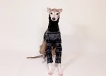 画像5: ノルディック柄セーターのオールインワン (5)