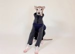 画像3: ネップ入りウールセーターのオールインワン (3)