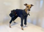 画像5: ネップ入りウールセーターのオールインワン (5)