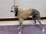 画像6: パーカーセット　【からし色✖ブラック気球柄】 (6)